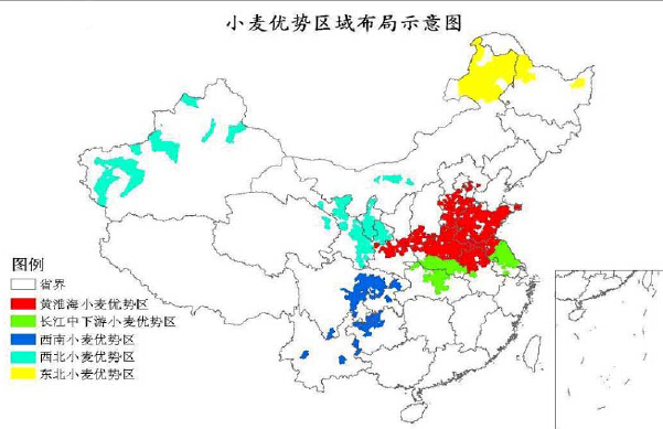 中国小麦种植区域分布情况
